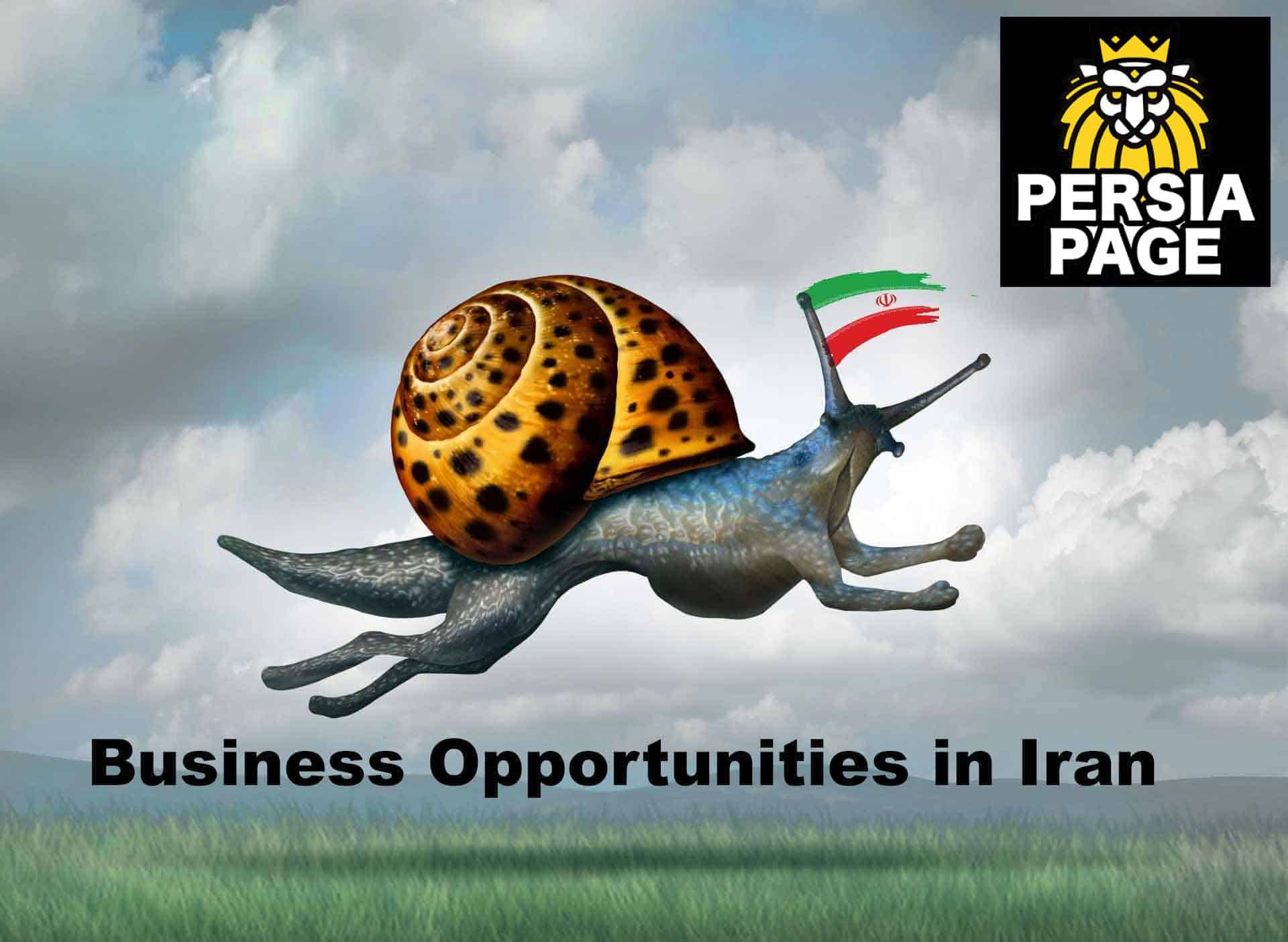 Business Opportunities in Iran