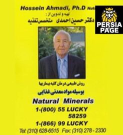 Dr Hossein Ahmadi