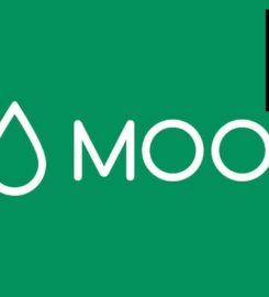 Moo | Printing Company