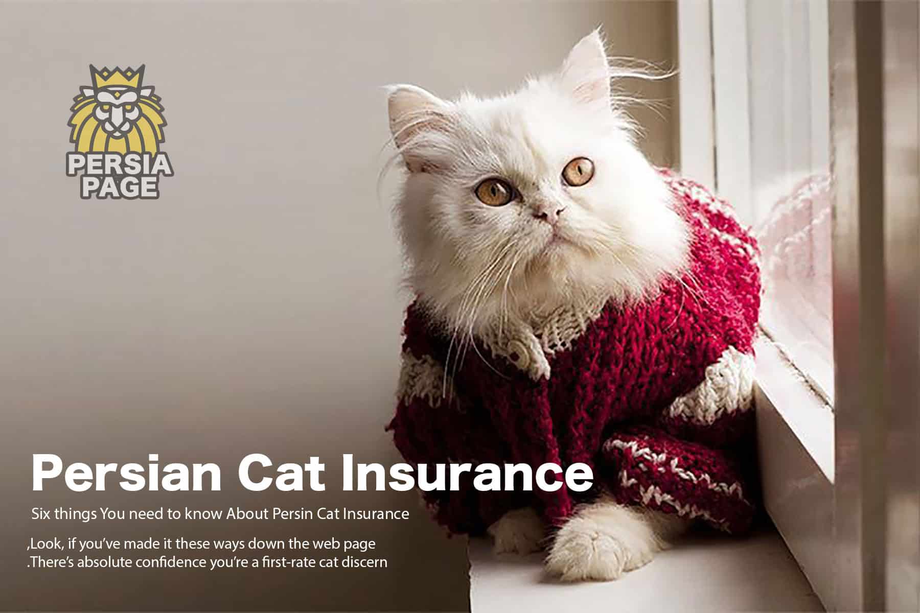 Persian Cat insurance