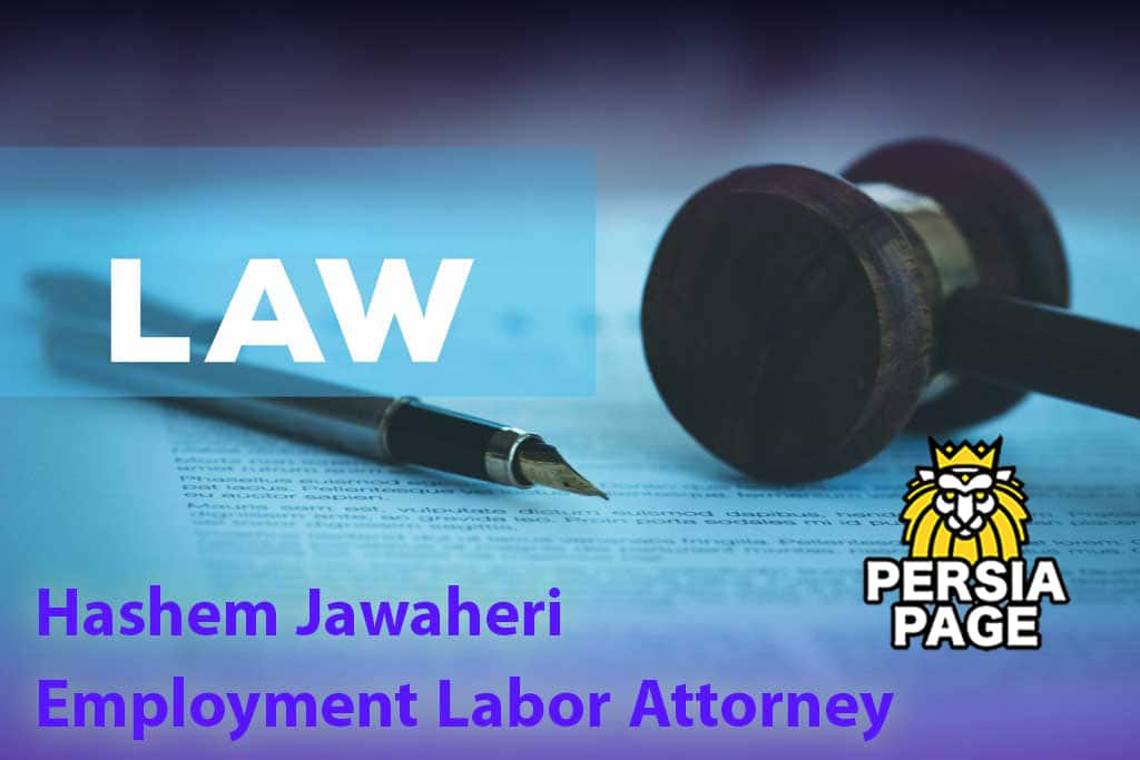 Employment-Labor-Attorney-Amsterdam